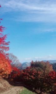 正在播放早登彼岸的小视频《伤怀离抱。天若有